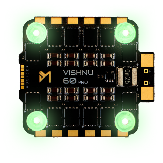 VISHNU 60