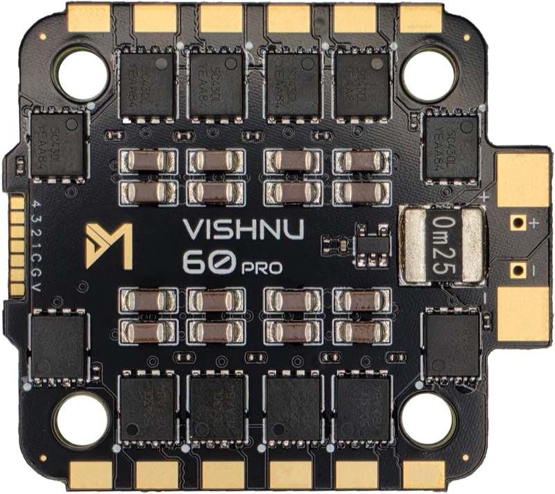 Vishnu ESC